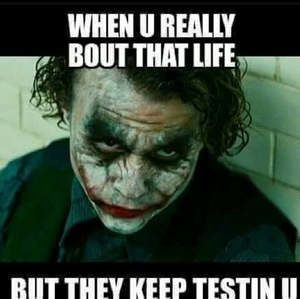 Meet your Posher, New